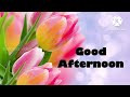 good Afternoon Video whatsapp status