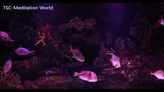 Soothing Stress Relief Music with Beautiful Coral Reef Fish-Relaxing Ocean Fish & Stunning Aquarium