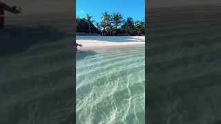 Clear beaches Mauritius