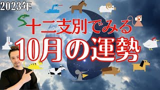 【占い｜運勢】2023年10月8日〜｜十二支別【九星術】