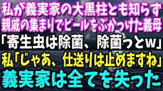 【スカッと】私が義実家の大黒柱と知らず、親戚の集まりでビールをぶっかけてきた義母「寄生虫は除菌、除菌っとw」私「あー…じゃ、実家に帰りますね」義母「え？」そのまま一生帰らなかった結果w【総集編】