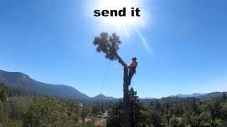 Tree Removal -Why use a Speed Line?