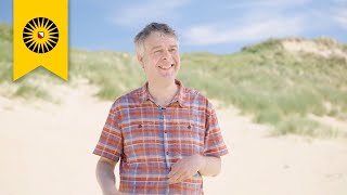 Why do these Dutch dunes have gaps? The play between wind, sand and biodiversity in Bloemendaal