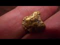 biggest nugget of 2018 largest nugget found metal detecting