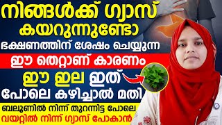 നിങ്ങൾക്ക് ഗ്യാസ് കയറുന്നുണ്ടോഭക്ഷണത്തിന് ശേഷം ചെയ്യുന്ന ഈ തെറ്റാണ് കാരണം ഈ ഇല ഇത് പോലെ കഴിച്ചാൽ മതി