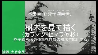 水墨画「新芥子園画伝」樹木を見て描く(カラマツ・ヒマラヤ杉)_No17-S005