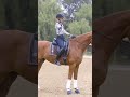 The Three Step Rein Sequence #Shorts