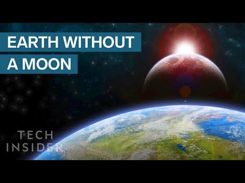 What would happen if the moon has no centripetal force?