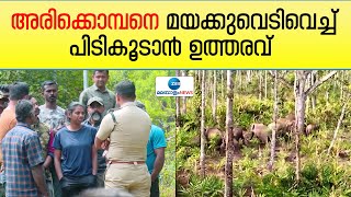 Wild Elephant in Idukki | അരിക്കൊമ്പനെ മയക്കുവെടിവെച്ച് പിടികൂടാൻ ഉത്തരവ്