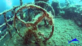 Salento Diving  ® - Santa Maria di Leuca - Lecce - Puglia