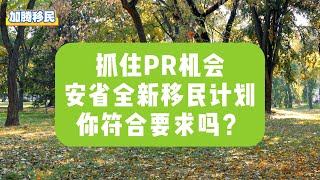 加拿大最新移民计划，你符合吗？快来看看~