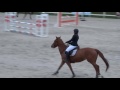 maud robert u0026 toon of dom club elite cso dinard 17.01.16 ecurie de ponthual