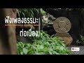 ฟังเพลงธรรมะต่อเนื่อง ดนตรีเพื่อสมาธิ  | Meditation Music