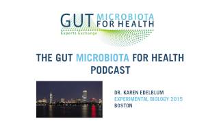 Interview with Karen Edelblum: The Role of 'Leaky Gut' in Inflammatory Bowel Disease