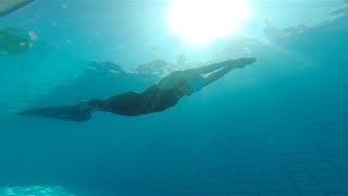 Natalia Molchanova world record freediving, 237 meter dynamic