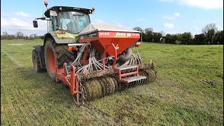 SOWING MULTISPECIES FOR DAIRY COWS!!!