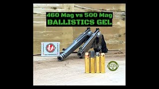 460 S&W Magnum vs 500 S&W Magnum (Ballistics Gel)