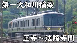 221系大和路快速【2020年 自転車散歩で撮影】