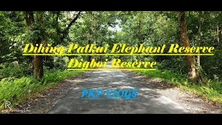 Digboi Reserve II Dihing Patkai Elephant Reserve II Sunday Vlog Part 2