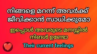 Can they live without you?❤️  നിങ്ങളെ മറന്ന് അവർക്ക് ജീവിക്കാൻ സാധിക്കുമോ❤️