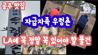 65. 공주맛집 / LA에 꼭 정말 꼭 있어야 할 물건