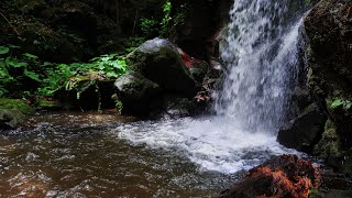 Morning Meditation Sound - Calming Green Mossy Waterfall Forest Stream in 4K - River Relaxation