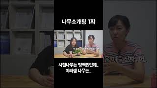 미러잼 둥근측백 나무는 가격이 저렴할까? #나무 #나무추천 #둥근측백