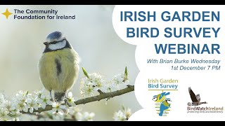 Birds Connect Irish Garden Bird Survey Webinar - 1st December 2021