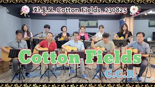 #Cotton_fields #CCR #싱어롱 #혼성_어쿠스틱 #화성시문화재단 #화성시평생학습관 #카페_올가