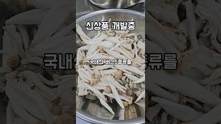 🍄다섯 가지 버섯의 신선함을 한 입에  양송이, 애기새송이, 표고, 느타리, 만가닥 버섯의 풍부한 맛과 식감! #푸드바스켓 #버섯샐러드 #건강한먹거리 #샐러드매니아  #수영역샐러드