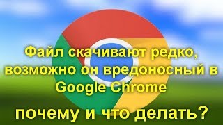 Файл скачивают редко, возможно он вредоносный в Google Chrome — почему и что делать