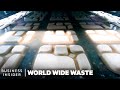 How To Replace Plastic With Avocados, Algae, Mushrooms And Sugarcane | World Wide Waste