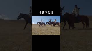 몽골외승을 가는 이유는 힐링 그 잡채 입니다. #승마 #horseriding #horse #외승 #mongolia