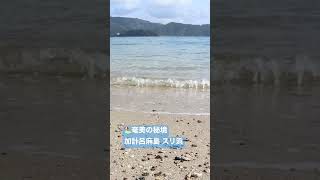 奄美の秘境 加計呂麻島の波音 #shorts #自然 #旅行