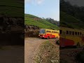 tea estate munnar shorts ksrtc jungle safari munnar kerala