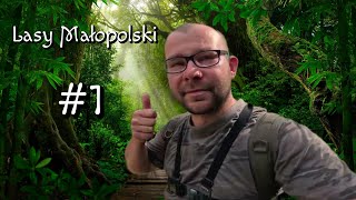 Wykopki w Lasach Małopolski #1