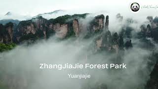 zhangjiajie forest park---yuanjiajie