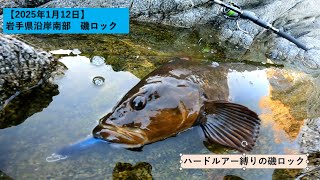 【2025年1月12日】岩手県沿岸南部 磯ロック釣行　ハードルアー縛りの磯ロック