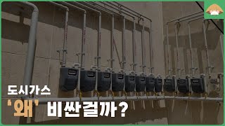 도시가스 설치 비용 왜?