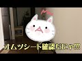 ねこばの日常～りん君のその後～