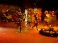 Lesedi Cultral Center: Female Tribal Dances