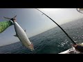 Abu dhabi off shore fishing