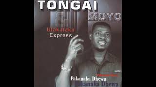 Tongai Moyo - Hanzvadzi Yangu (Pakanaka Dhewa Album 2004) (Official Audio)