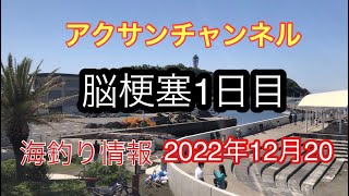 【江ノ島】釣果情報と脳梗塞は突然やってき