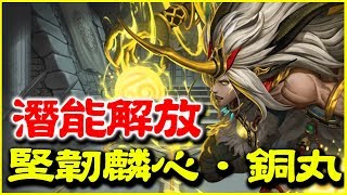 【神魔之塔】堅韌麟心．銅丸《潛能解放》【平民百姓攻略】