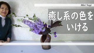 【生け花】_癒し系のお花をいける動画_藤色のデルフィニウム_Sogetsu Ikebana