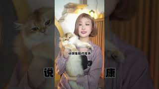 猫奴十三 4步选到健康又黏人的小猫，快看看吧 #猫咪 #新手养猫 #科学养宠攻略 懂喵的YOTA