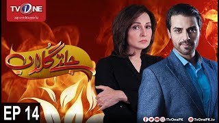 Jaltay Gulab | Episode 14 | TV One Drama | 23rd November 2017