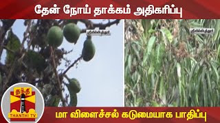 தேன் நோய் தாக்கம் அதிகரிப்பு - மா விளைச்சல் கடுமையாக பாதிப்பு