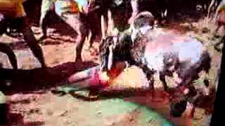 Jallikattu - Mudakathan mani @ Alanganallur jallikattu 2010